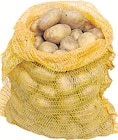 Aktuelles Kartoffeln Belana Angebot bei Wreesmann in Dresden ab 1,49 €
