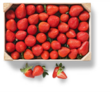 Aktuelles Span. Erdbeeren Angebot bei Kaufland in Duisburg ab 6,99 €