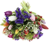 Aktuelles Strauß Tulpenfestival Angebot bei REWE in Braunschweig ab 6,99 €