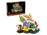 Aktuelle Kunstblumen Angebote bei MediaMarkt Saturn in Leverkusen Aktuelles Botanicals 11505 Waldpilze Bausatz, Mehrfarbig Angebot bei MediaMarkt Saturn in Leverkusen ab 62,99 €