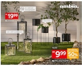 Laterne im Angebot bei XXXLutz Möbelhäuser in Bornheim Laterne Angebote von Ambia Home bei XXXLutz Möbelhäuser Bornheim für 9,99 €