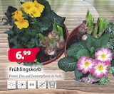 Frühlingskorb bei Kiebitzmarkt im Villmar Prospekt für 6,99 €