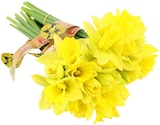 Aktuelle Blumen Angebote bei REWE in Kassel Aktuelles Feld-Narzissen Angebot bei REWE in Kassel ab 0,99 €