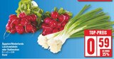 EDEKA Neuenhagen - Lauchzwiebeln oder Radieschen Angebot im Prospekt Lauchzwiebeln oder Radieschen bei EDEKA im Neuenhagen Prospekt für 0,59 €