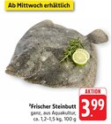 Frischer Steinbutt Angebote bei E center Kaiserslautern für 3,99 €
