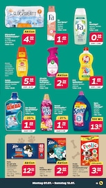 Aktueller Netto mit dem Scottie Prospekt mit Toilettenpapier, "Günstig. Besser. Für Dich.", Seite 17