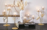 Kerzenhalter Angebote von Ambia Home bei XXXLutz Gronau für 6,99 €