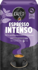 Espresso Intenso im Angebot bei Netto Marken-Discount in Lingen Espresso Intenso Angebote von CAFET bei Netto Marken-Discount Lingen für 9,99 €
