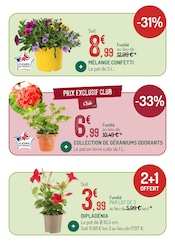 Promos Géranium dans le catalogue "LES OFFRES DU MOMENT À NE PAS MANQUER" de Botanic Géranium en promo dans le catalogue Botanic à la page 7