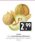 Hieber - Galia Melonen Angebot im Prospekt Galia Melonen bei Hieber im Prospekt "" für 2,99 €