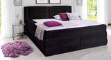 Boxspringbett für 999,99 € bei POCO im Angebot Boxspringbett im aktuellen POCO Prospekt
