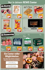 Ähnliche Regentonne Angebote im Prospekt "Dein Markt" von REWE in Ludwigshafen Ähnliche Angebote wie Regentonne im Prospekt "Dein Markt" auf Seite 3 von REWE in Ludwigshafen