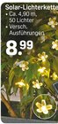 Solar-Lichterkette im aktuellen Rossmann Prospekt