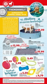 Hundespielzeug Angebote im Prospekt "Aktuelle Angebote" von Zookauf auf Seite 4