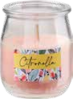 Citronella-Duftkerze Angebote bei Sonderpreis Baumarkt Soest für 1,00 €
