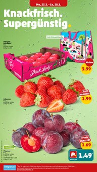 Erdbeeren im Penny Prospekt "Wer günstig will, muss Penny." mit 42 Seiten (Koblenz)