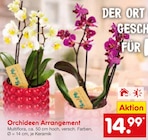 Orchideen Arrangement von  im aktuellen Netto Marken-Discount Prospekt für 14,99 €