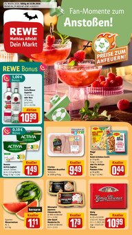 Aktueller REWE Prospekt für Bad Segeberg und Ungebung, Seiten zum blättern REWE Prospekt Dein Markt mit Seiten in Bad Segeberg und Umgebung