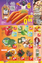 Chrysantheme Angebot & Preis im aktuellen E center Prospekt Chrysantheme Angebot im aktuellen E center Prospekt auf Seite 5