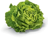 Kopfsalat im Angebot bei Netto Marken-Discount in Pirna Kopfsalat Angebote von HEIMAT bei Netto Marken-Discount Pirna für 0,74 €