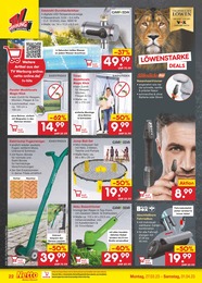 Netto Marken-Discount Rasen im Prospekt 