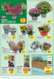 Blumentopf im toom Baumarkt Prospekt in Aalen Aktueller toom Baumarkt Prospekt mit Blumentopf, "Respekt, wer's selber macht.", Seite 8