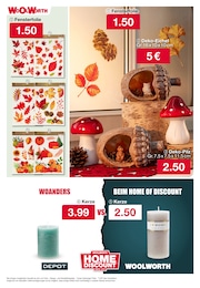 Herbstdeko Angebot im aktuellen Woolworth Prospekt auf Seite 29