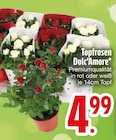 Aktuelles Topfrosen Angebot bei EDEKA in Ingolstadt ab 4,99 €