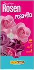 Rosen rosa + lila im REWE Prospekt Rosen rosa + lila von Decocino im aktuellen REWE Prospekt für 2,39 €