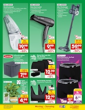 Dessous im Netto Marken-Discount Prospekt in Straubing Aktueller Netto Marken-Discount Prospekt mit Dessous, "Aktuelle Angebote", Seite 41
