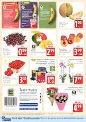 Aktueller E center Prospekt mit Mango, "Top Angebote", Seite 6