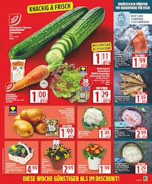 Fertiggerichte im EDEKA Prospekt "Aktuelle Angebote" mit 19 Seiten (Berlin)