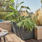 Jardinière décorative ECLOZ - ECLOZ en promo chez Gamm vert Clermont-Ferrand à 69,99 €