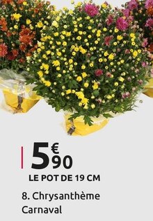 Chrysanthèmes - Mr Bricolage Chrysanthèmes à 5,90 € dans le catalogue Mr Bricolage "À ce prix-là, c'est la fête des économies !"