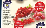 EDEKA - Johannisbeeren Angebot im Prospekt Johannisbeeren bei EDEKA im Prospekt "" für 2,99 €