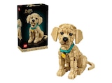 Aktuelle Lego Angebote bei MediaMarkt Saturn in Hannover Aktuelles Icons 11384 Golden Retriever Welpe Bausatz, Mehrfarbig Angebot bei MediaMarkt Saturn in Hannover ab 107,99 €