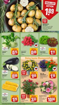 Salat im REWE Prospekt "Dein Markt" mit 22 Seiten (Bonn)