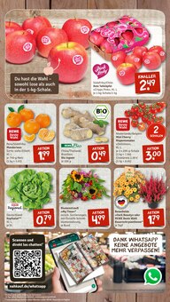 Tomaten im aktuellen nahkauf Prospekt (Heidelberg) Tomaten im nahkauf Prospekt "nichts liegt näher" mit 8 Seiten (Heidelberg)