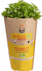 Basilic Bio Prêt à Consommer en promo chez Botanic Basilic Bio Prêt à Consommer dans le catalogue Botanic