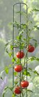 Tomaten-Rankhilfe Angebote bei Wreesmann Dresden für 1,99 €