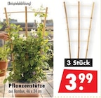Pflanzenstütze bei Mäc-Geiz im Prospekt "" für 3,99 €
