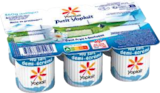 Fromage Blanc Petit-Suisse Nature 3,8% MG - YOPLAIT en promo chez Hmarket Fromage Blanc Petit-Suisse Nature 3,8% MG - YOPLAIT dans le catalogue Hmarket