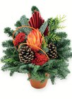GRABTOPF im Angebot bei Wreesmann in Brandenburg GRABTOPF Angebote bei Wreesmann Brandenburg für 12,99 €