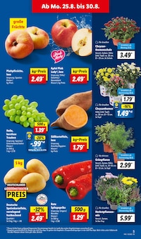 Pflanzen im aktuellen Lidl Prospekt (Cottbus) Pflanzen im Lidl Prospekt "LIDL LOHNT SICH" mit 68 Seiten (Cottbus)