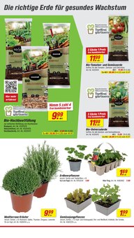 toom Baumarkt Ulm Prospekt der aktuellen Woche, gültig von 14.03.2026 bis 20.03.2026 Aktueller toom Baumarkt Ulm Prospekt "Respekt, wer's selber macht." mit 26 Seiten