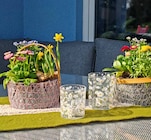 Windlicht 'Margeriten' Angebote bei Garten-Center Nordharz GmbH & Co. KG Goslar für 2,99 €