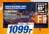 Aktuelle Fernseher Angebote bei expert in Seevetal Aktuelles OLED TV GQ65S85FAEXZG Angebot bei expert in Seevetal ab 1.099,00 €