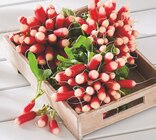 U Express - RADIS ROSE : offre du catalogue Promo RADIS ROSE à 0,79 € dans le catalogue U Express "Des bons plans à l'italienne"