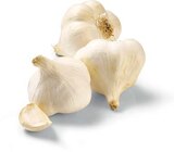 Bio Knoblauch im Angebot bei Netto Marken-Discount in Mühlhausen Bio Knoblauch Angebote von BioBio bei Netto Marken-Discount Mühlhausen für 1,29 €