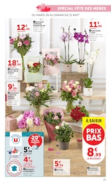 Promos Orchidée dans le catalogue "Super U" de Super U Orchidée en promo dans le catalogue Super U à la page 25